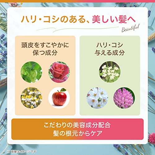 シャンプー セット 4