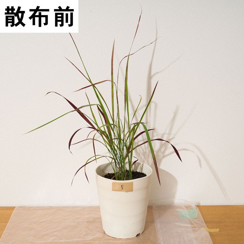 一刀両断 12