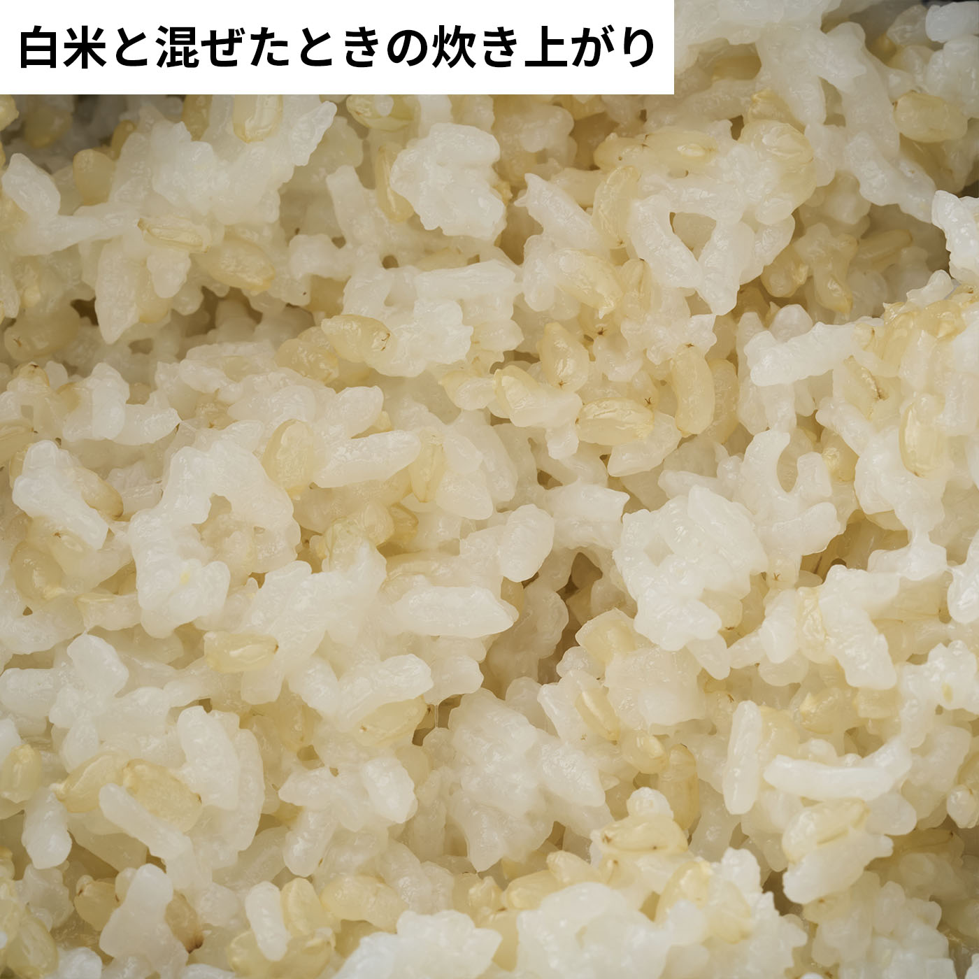 発芽玄米コシヒカリ 7
