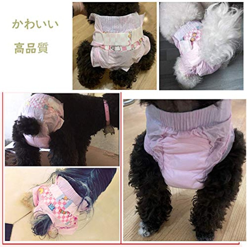 犬用おむつ 5