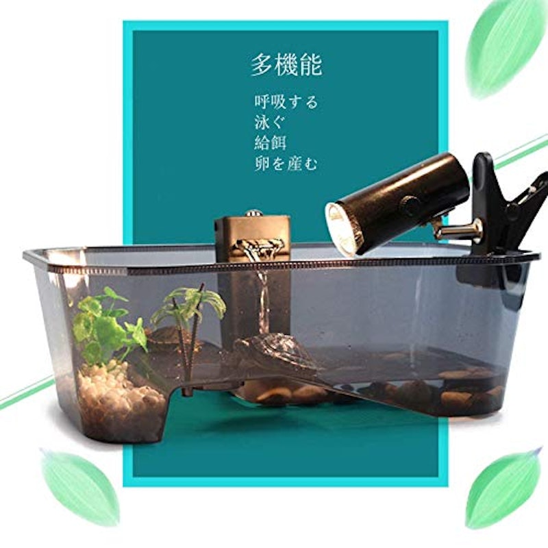 オープン水槽 亀の日なたぼっこ台付き 2