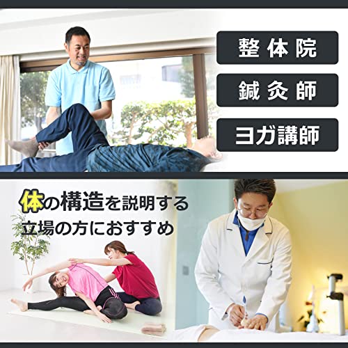 人体模型  3
