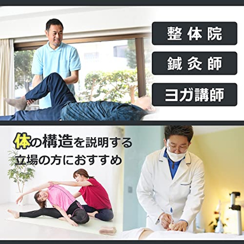 人体模型 3