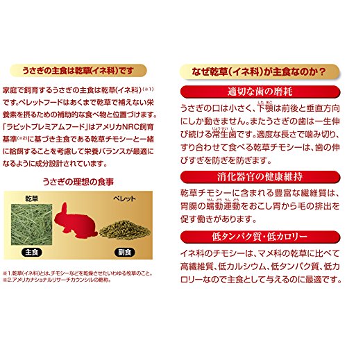 ラビットプレミアム チモシー 4