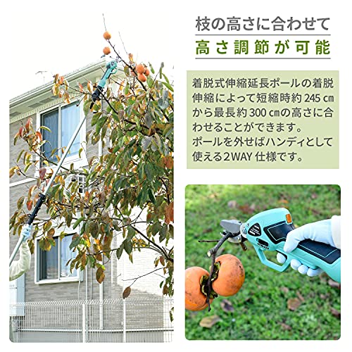 充電式 電動高枝切りばさみ 4