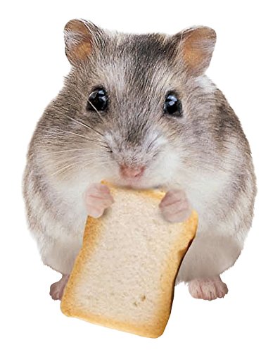 はむはむ食ぱむ 2