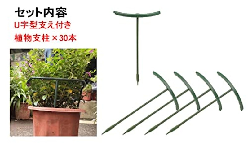 植物支柱 花ささえ 2