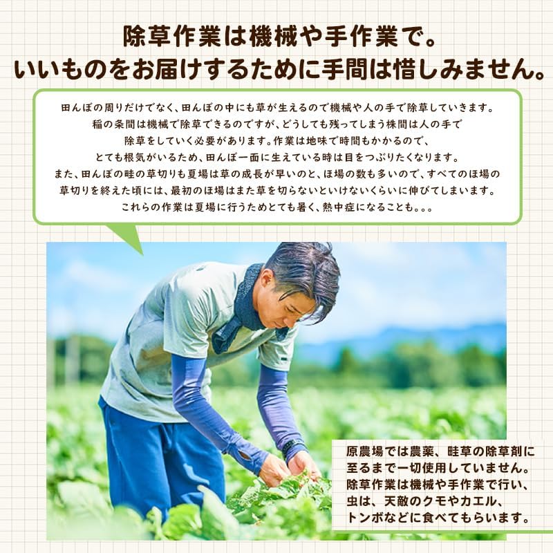 中力粉 4