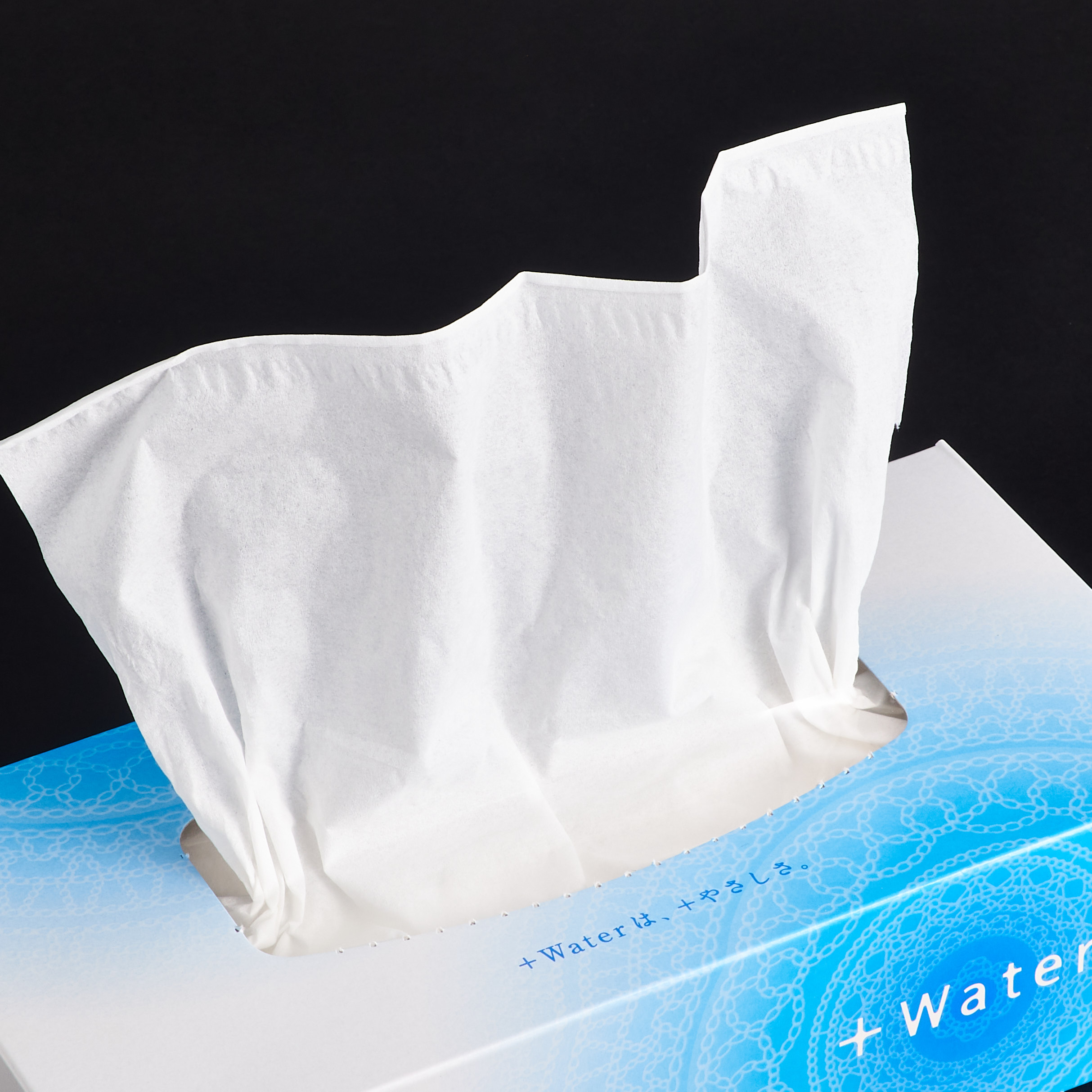エリエール ＋Water 5