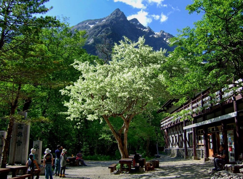 上高地 明神館 1
