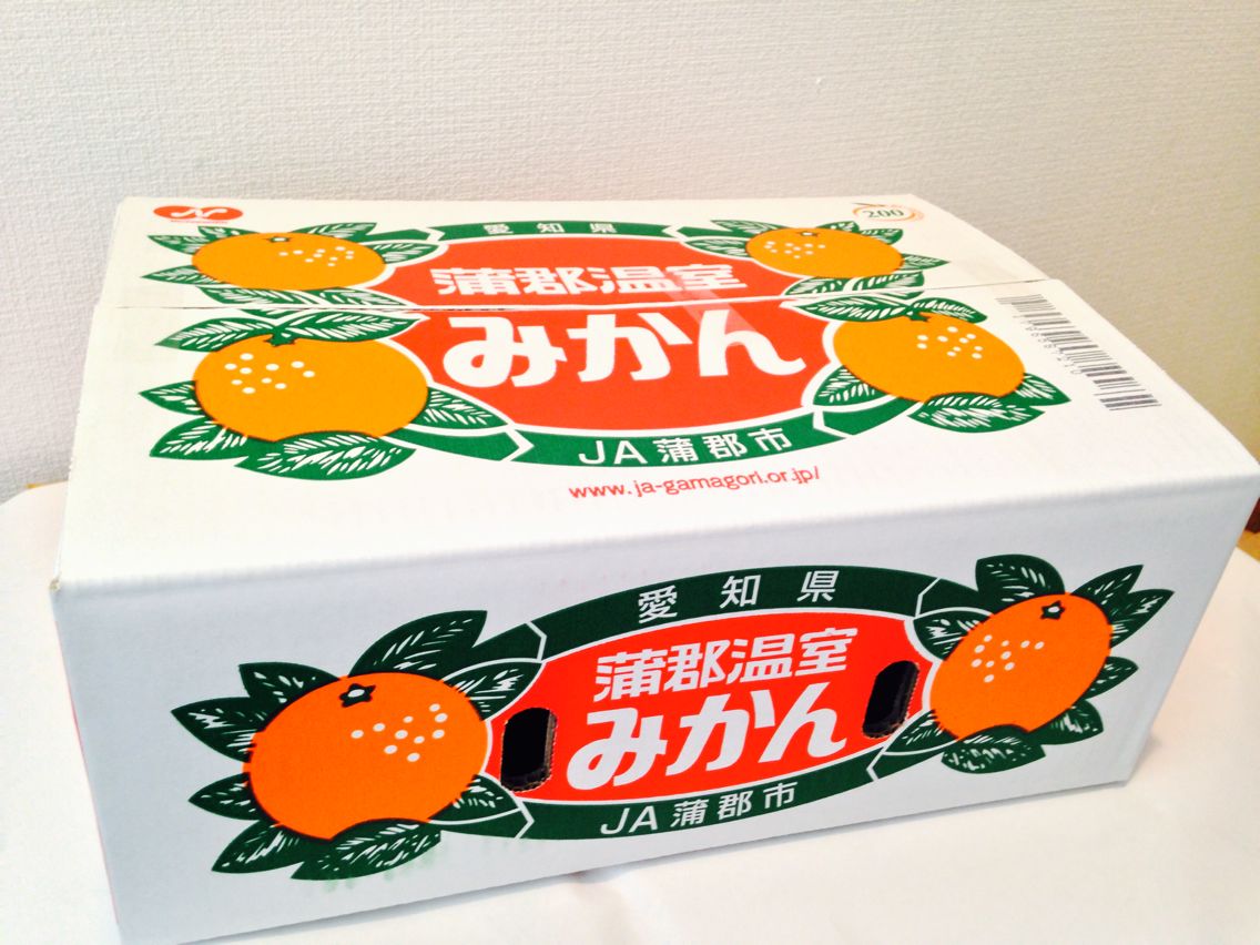 蒲郡温室みかんLサイズ36玉 1