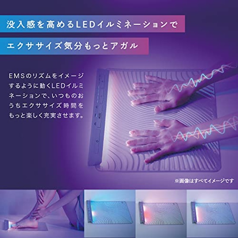 EMSシートネクサ 4