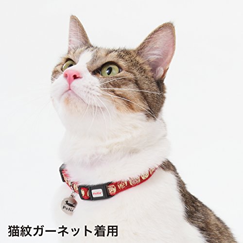 猫小町カラー 2
