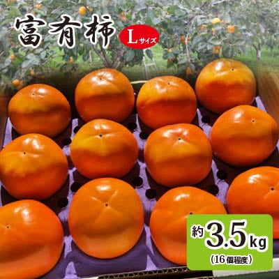 富有柿 1