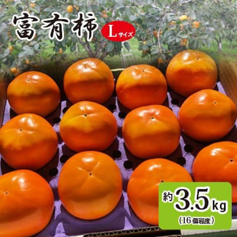 富有柿 1