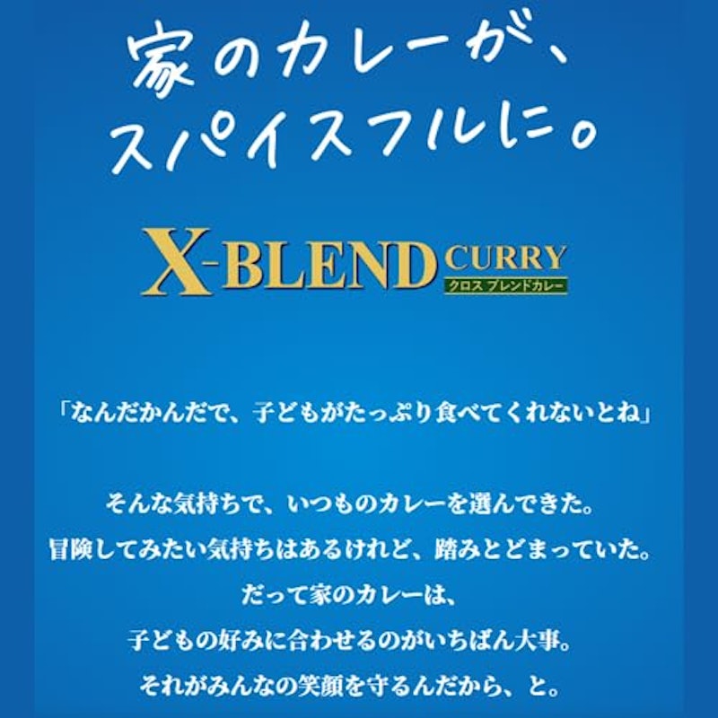 クロスブレンドカレー 中辛 3