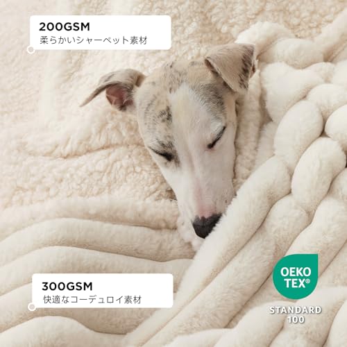 犬用毛布のおすすめ人気ランキング【2026年10月】 | マイベスト