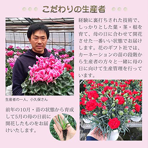WフォトDXナチュラス 日比谷花壇 （サステナブルな花屋を目指し