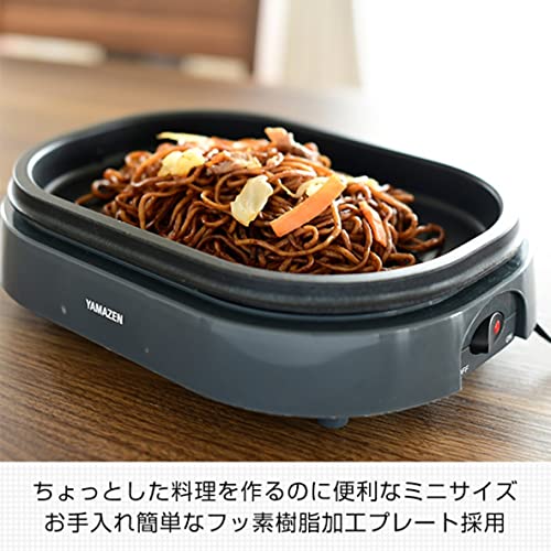 ミニグリルプレート 5