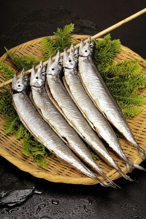 さんまのいちばんぼし 1