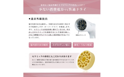ケアライズ BLDC ヘアドライヤー 4