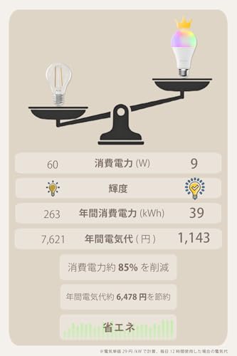 LED電球 HomeLink対応 5