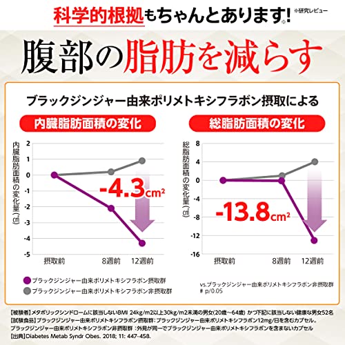 燃焼革命Premium 4