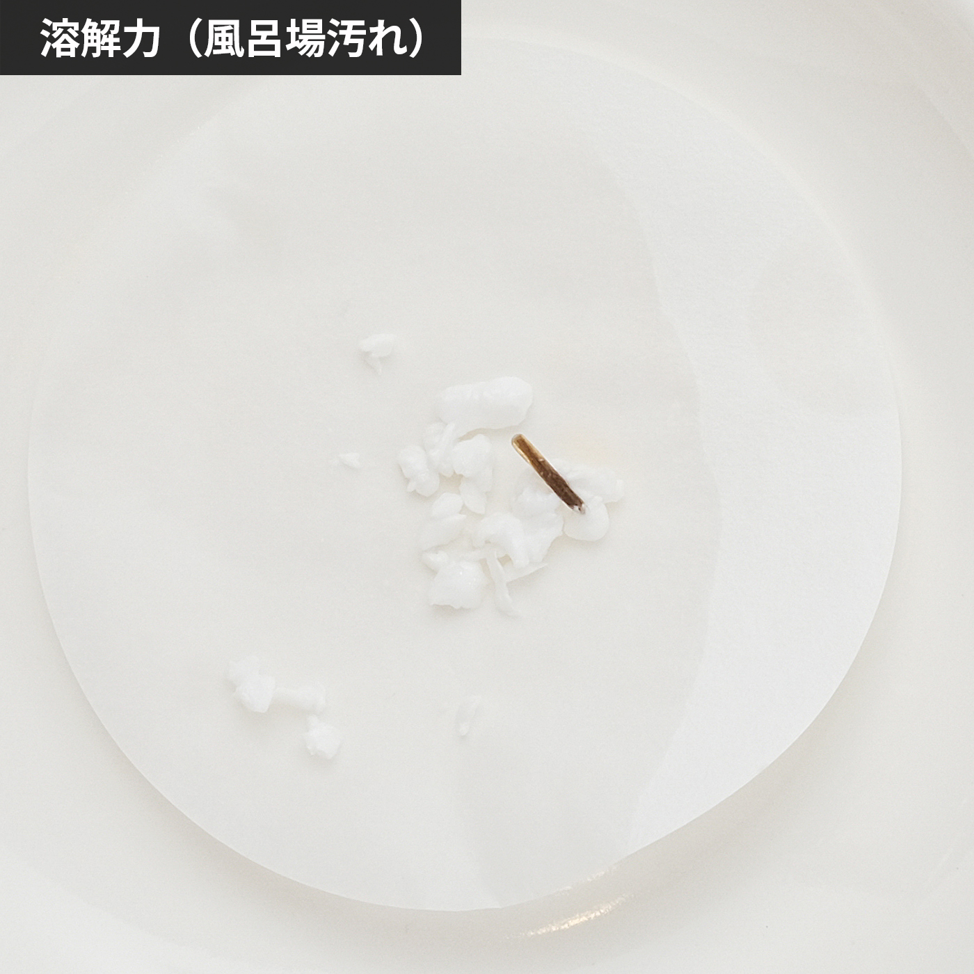 ビバホームパイプクリーナー 5