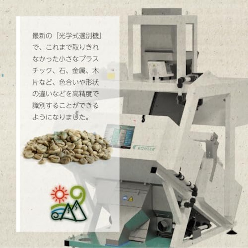 生豆 セット 7