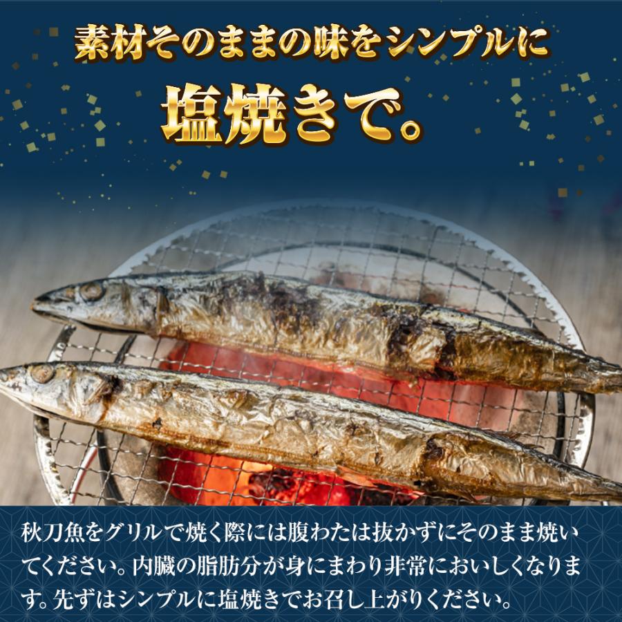  特大生冷凍さんま 3