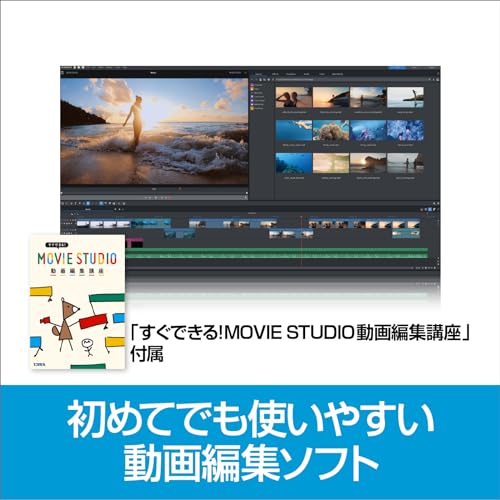 Movie Studio 2024 Platinum 2