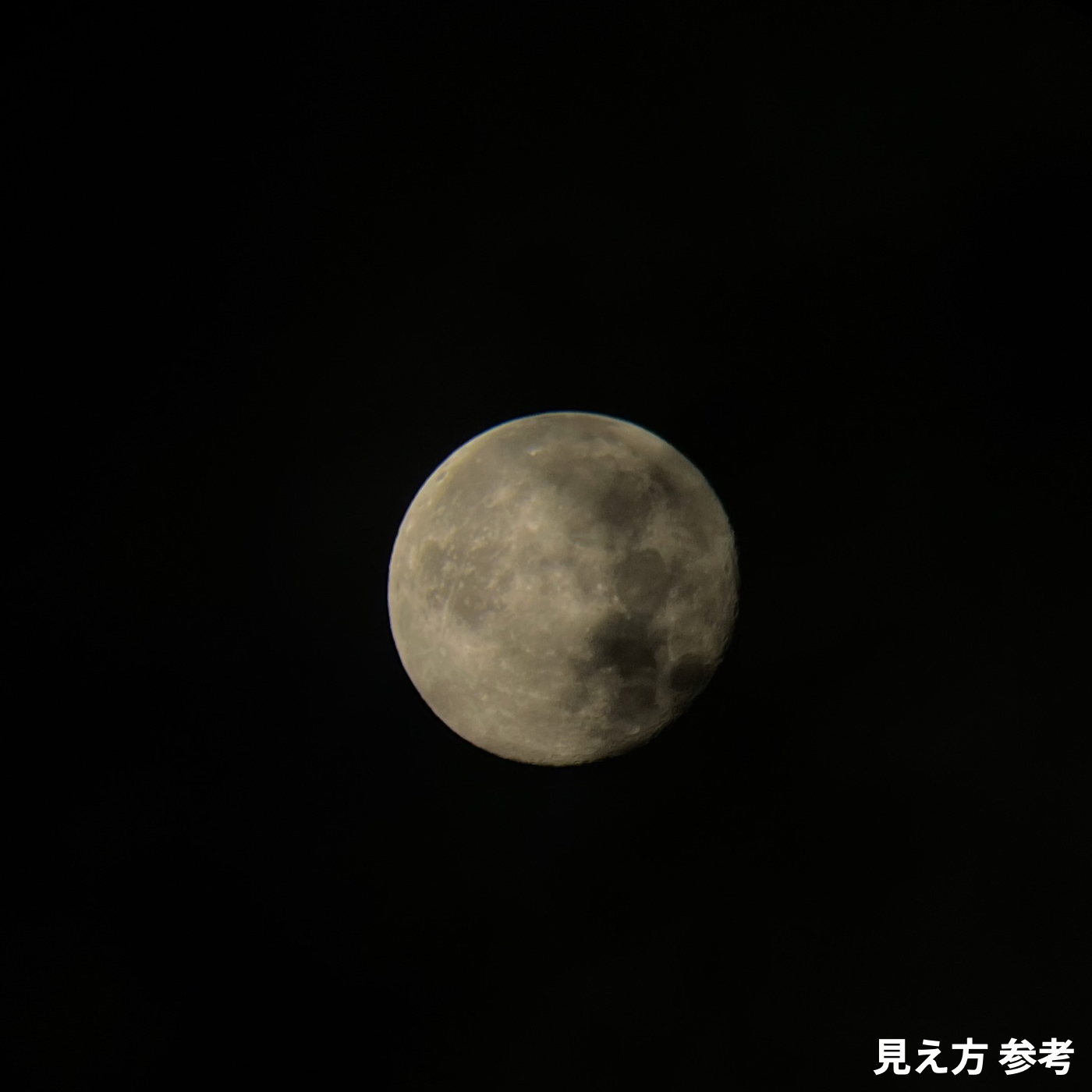 天体望遠鏡 Travel Scope 80 with BP & SPH 6