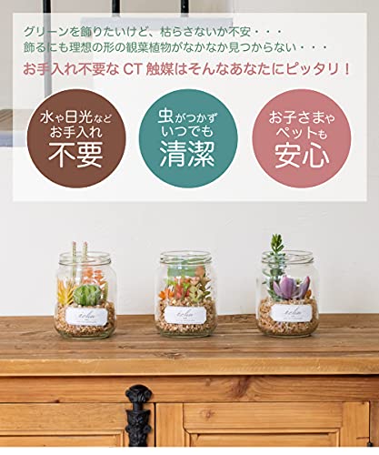 消臭アーティフィシャルグリーン ECLIA 7