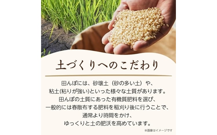 山形県産はえぬき 5kg×2袋 4