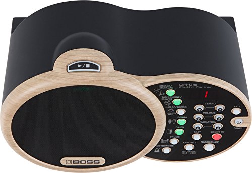 DR-01S Rhythm Partner 2