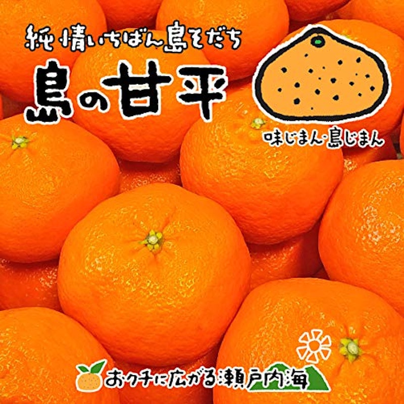 希望の島 甘平 訳あり 1