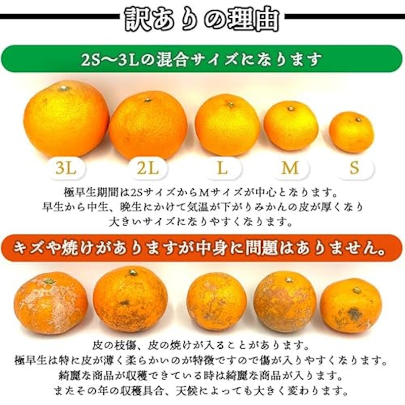 有田みかん 3