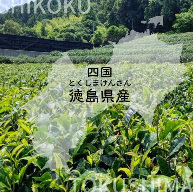 阿波番茶 2