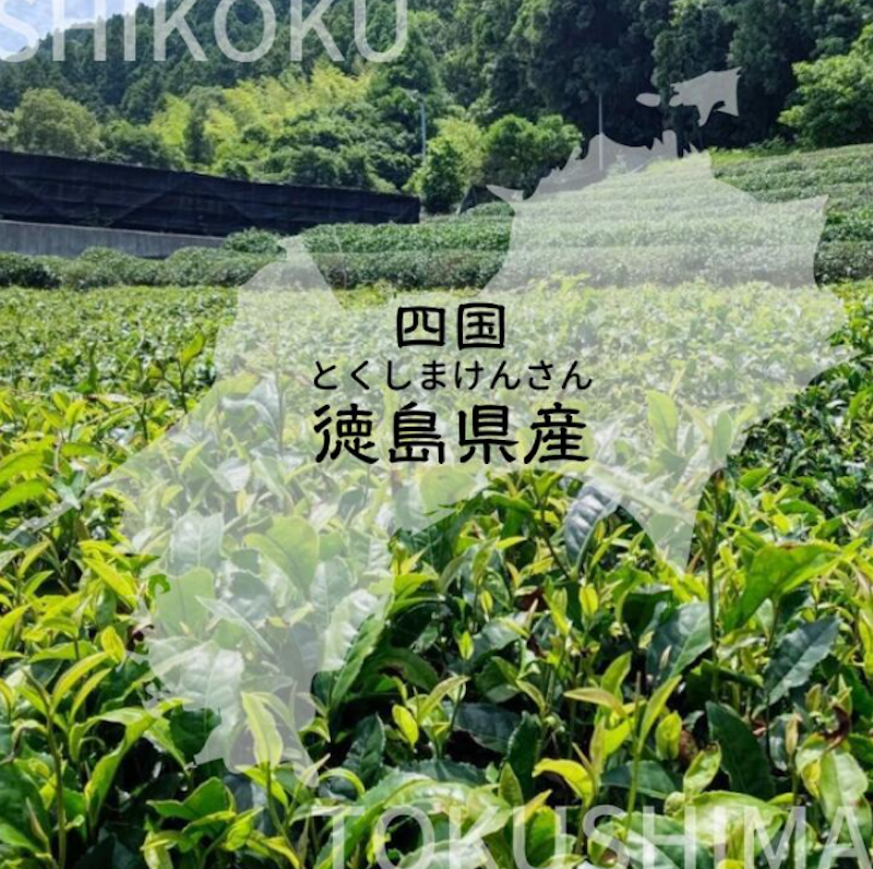 阿波番茶 2