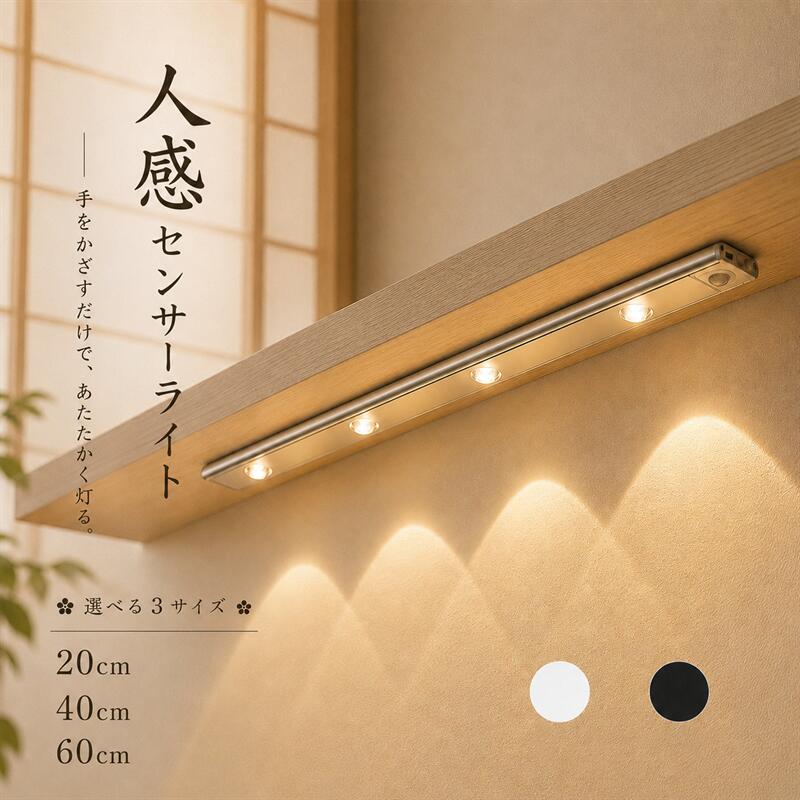 センサーライト 1