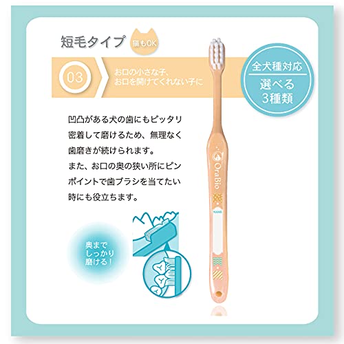 オーラバイオブラシ 3