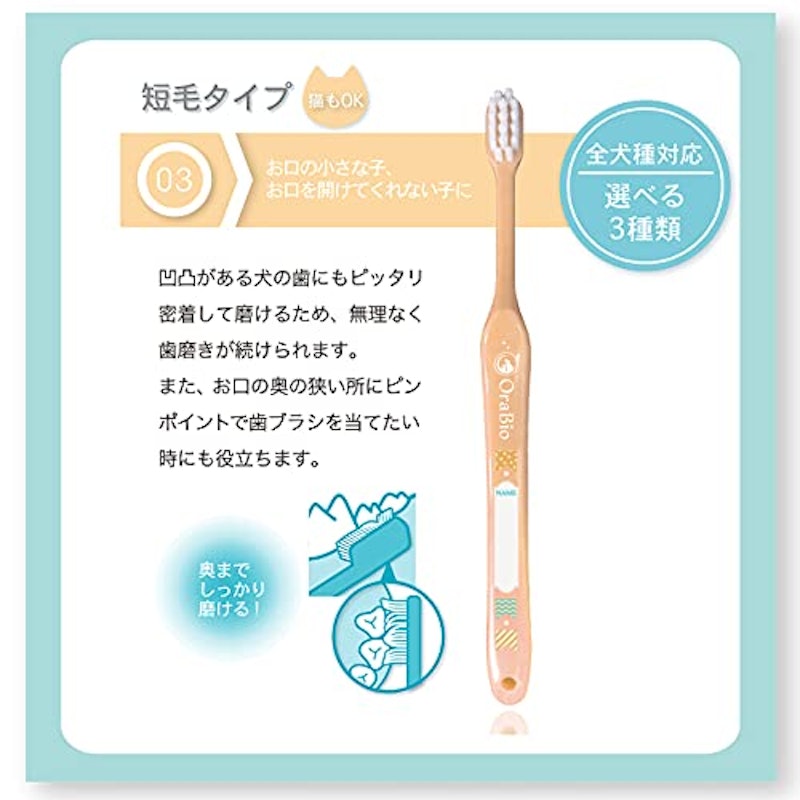 オーラバイオブラシ 3