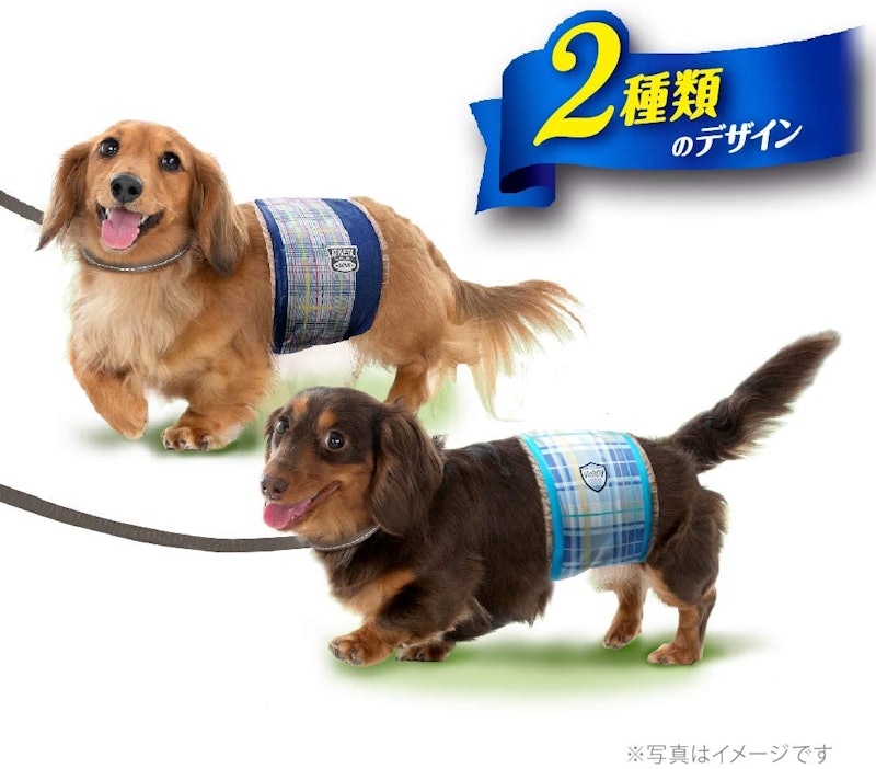 21年 犬用オムツのおすすめ人気ランキング10選 Mybest 21年 犬用オムツのおすすめ人気ランキング10選 Mybest