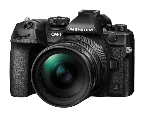 OM SYSTEM（オリンパス）のミラーレスのおすすめ人気ランキング【2026