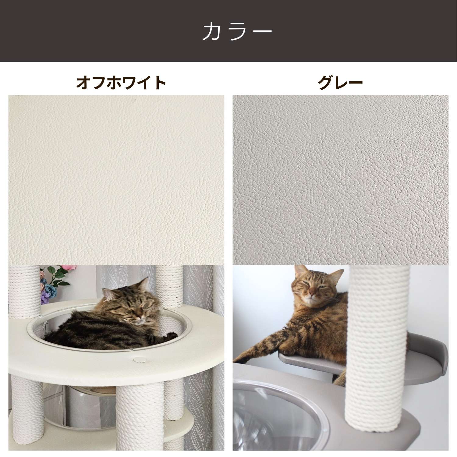 RESIDENCE 宇宙船タイプ 18
