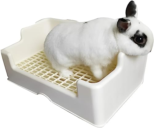 うさぎ用トイレのおすすめ人気ランキング【2026年7月】 | マイベスト