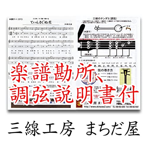カンカラ三線 3