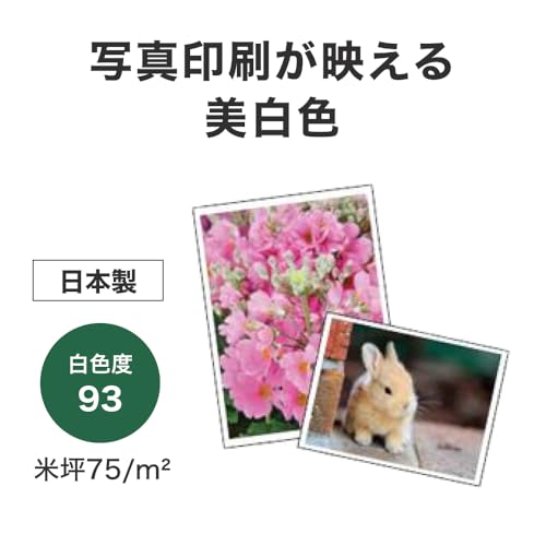 写真もきれいな高白色コピー用紙 4