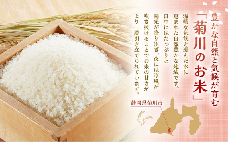 令和8年産 静岡県産 コシヒカリ 5kg 2