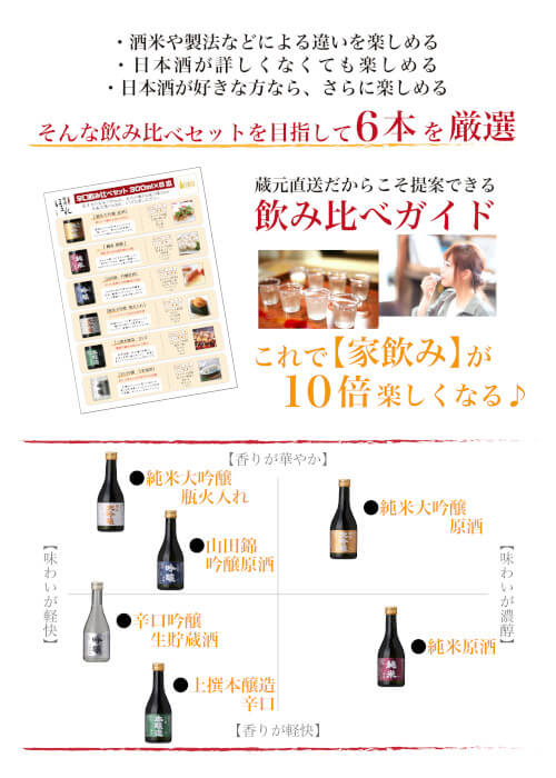 辛口日本酒 飲み比べセット 10